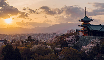 企业愿景
